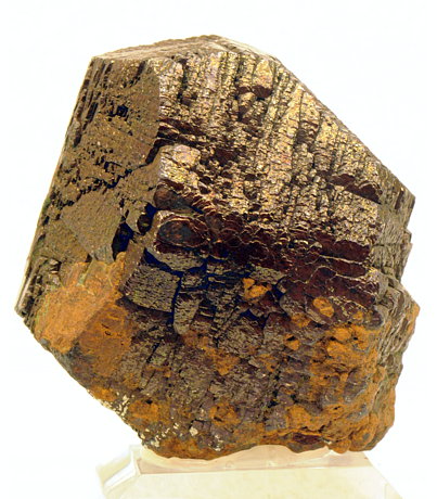 Pyrit| H: 7 cm; F: Plattenkogel, Ankogel (2009), Ktn; Sammlung: Peter Pontasch