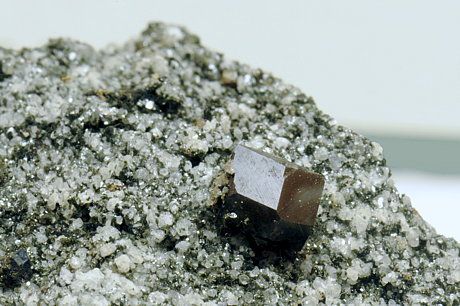 Magnetit| KL: 1 cm; F: Amertal; Finder: Kurt Nowak