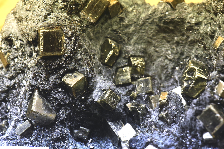 Pyrit in Schiefer| BB: ca. 10 cm, F: Habachtal; Finder: Gebrüder Hofer 