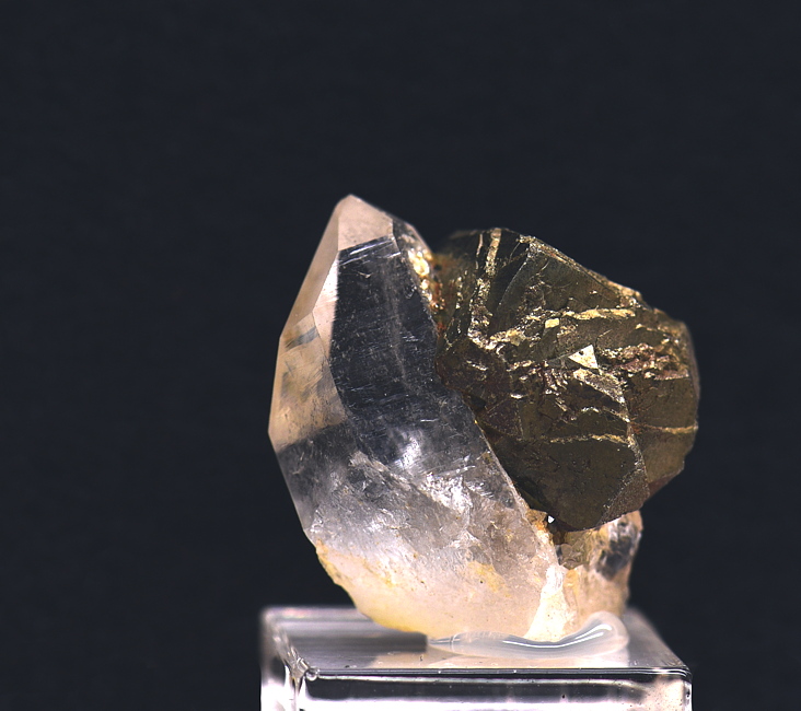 Quarz mit Pyrit| B: ca. 3 cm, F: Hüttschlag, 'Schwarze Hölle'; Finder: Kössler, Scharz 