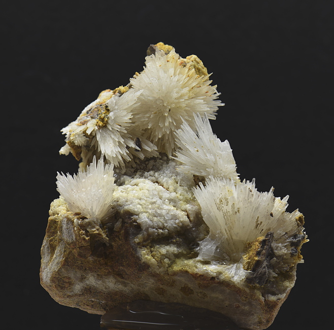 Aragonit ('Haifischmaul')| B: ca. 7 cm, F: Leogang; Finder: Toni Simair 