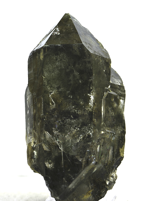 Bergkristall mit Chlorit-Einschluss| H: ca. 10 cm, F: Stubachtal; Finder: Wolfgang Scharler 