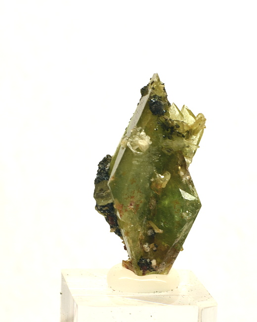 Titanit mit Chlorit| H: 2.5 cm; F: Ankogelgruppe, Kärnten; Finder: Andreas Mikl, 2016