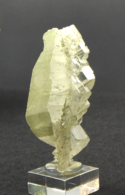 Adular-Säge mit wenig Chlorit| H: 6 cm; F: Oberpinzgau; Sammlung: Schöpp / Niederegger / Gandler