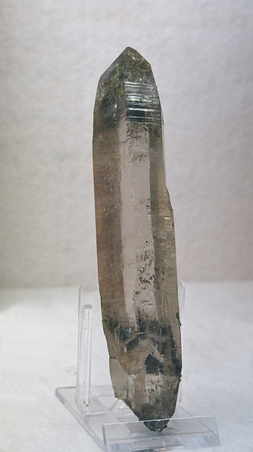 Helle Rauchquarzspitze mit Chlorit| H: 10 cm; F: Maltatal, 2013; Finder: Peter Dulling