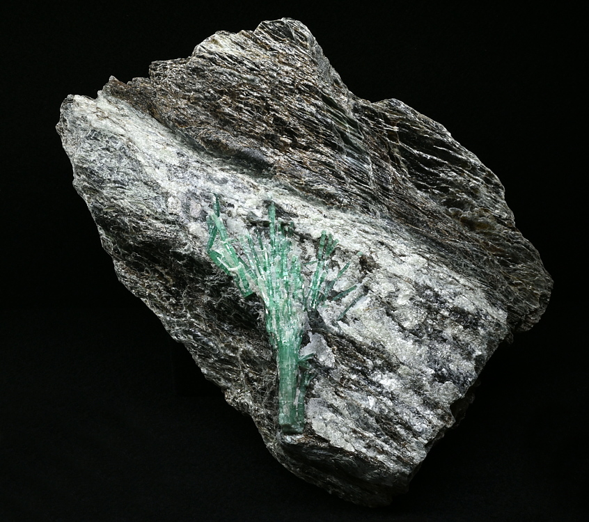 Smaragd-Blume| B:20 cm; F: Habachtal; Finder: Andreas Steiner