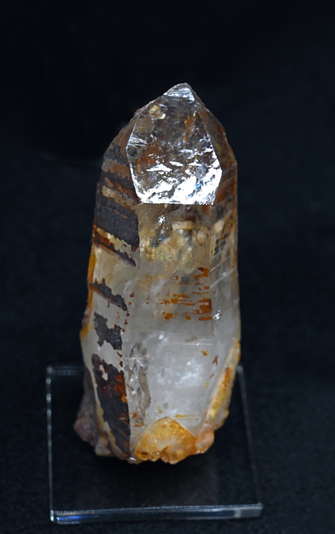 Quarz mit Pyrit aus Erzgang| H:5 cm; F: Gastein; Finder: Alfred Bachmann, Peter Schmitzer