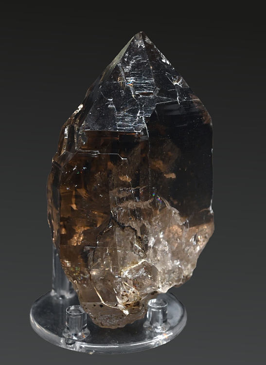 Rauchquarzspitze Chlorit| H:6 cm; F: Grossvenediger; Finder: Stephan Weghofer