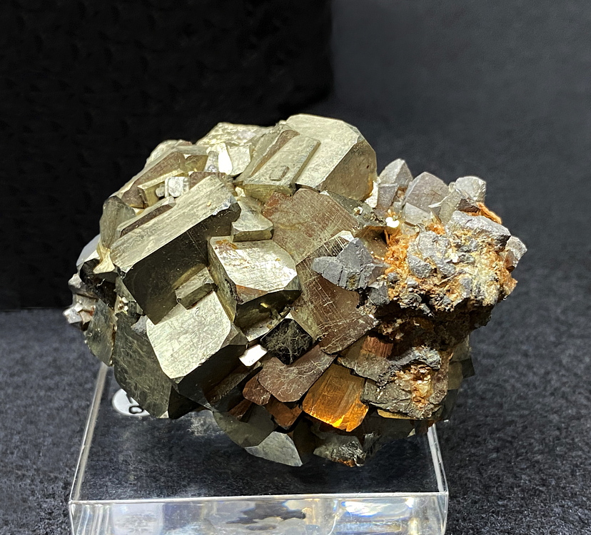 Pyrit| B=6cm, Fundort: Rauris; Finder: Erwin Oberlechner
