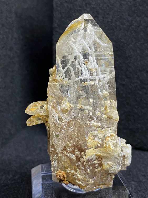 Paragonit Excentries in Bergkristall| H=8cm, Fundort: Grieswies, Rauris; Sammlung: Klaus Pirchner & Christian Eisenböck