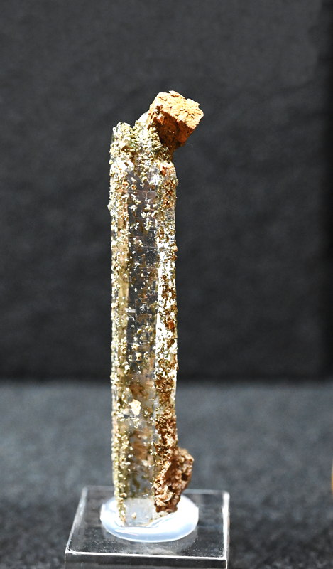 Bergkristall-Spitze mit Pyrit| H: 6 cm, F: Rauris, Finder: XXXXXXXX