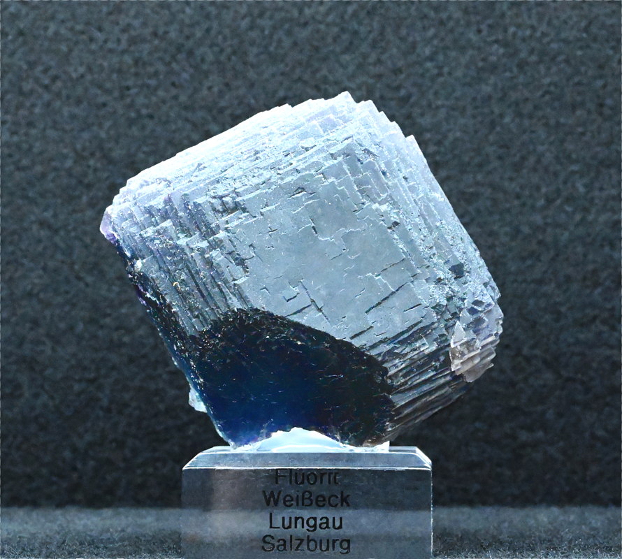 Dunkler Fluorit| B: 6 cm, F: Weisseck (Gipfelkluft), Finder: Stephan Weghofer