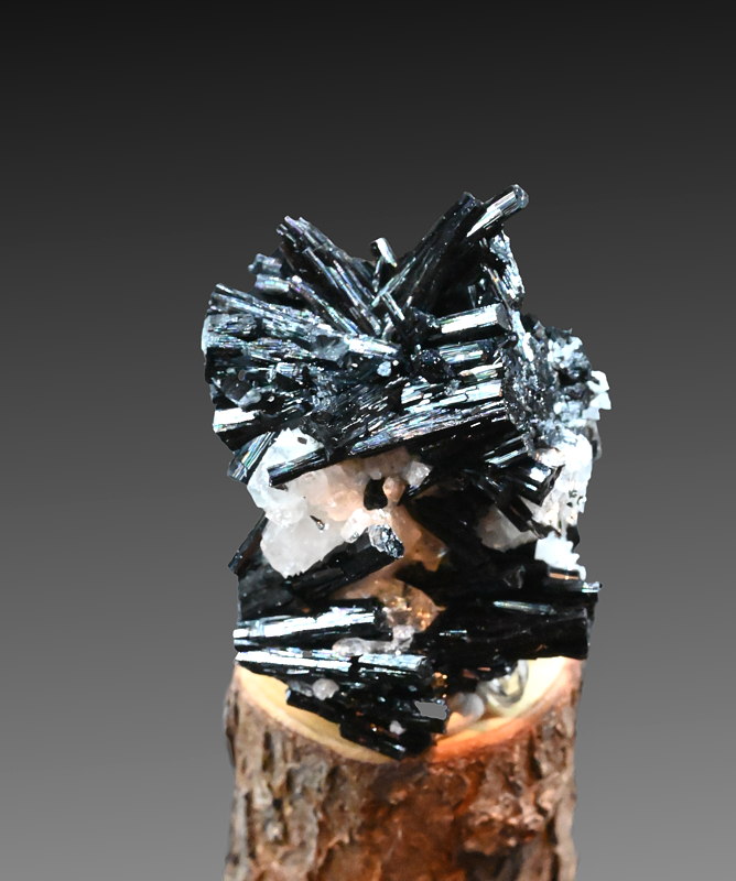 Turmalin und Chlorit mit Periklin| H: 4 cm, F: Schw. Hörndl, Untersulzbachtal, Finder: Kurt Nowak