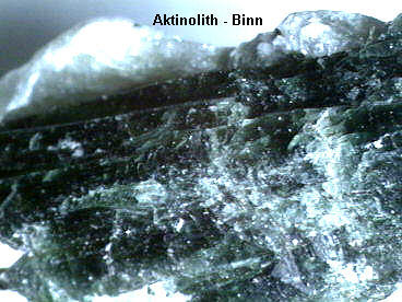 Aktinolith, Binn. Bildbreite ca. 17mm.