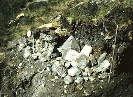 Grosse Quarzkristalle - teils Phantome| warten in speziell in die steile Wiese gehackten Terrassen auf ihren Abtransport. 