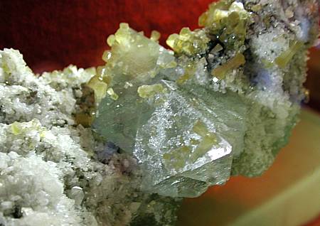 Grüner Fluorit, auf einer grösseren Stufe mit diversen anderen Mineralien wie Stilbit, Adular, Quarz;  Bildbreite: 10cm; Gotthardtunnel TI