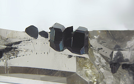 Hämatitkristalle auf Quarz| Cavradischlucht, GR; BB: 6cm (Sammlung Paul Berther)