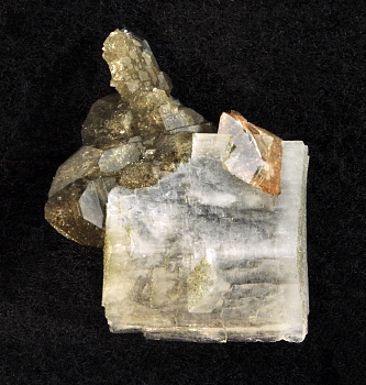 Gebogener Phantomadular mit Titanit auf Quarz| (Chlorit eingeschl. in Quarz); F: Rotlaui, BE; B: 2.5cm (Sammlung Pius Birrer)