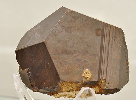 Pyrit (mit Limonitüberzug)| F: Alpe Scimfüs, TI;  B: 6cm (Sammlung Delio Stefana)