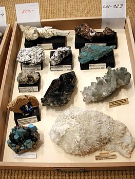 Ein interessantes Los| mit Mineralien aus aller Welt