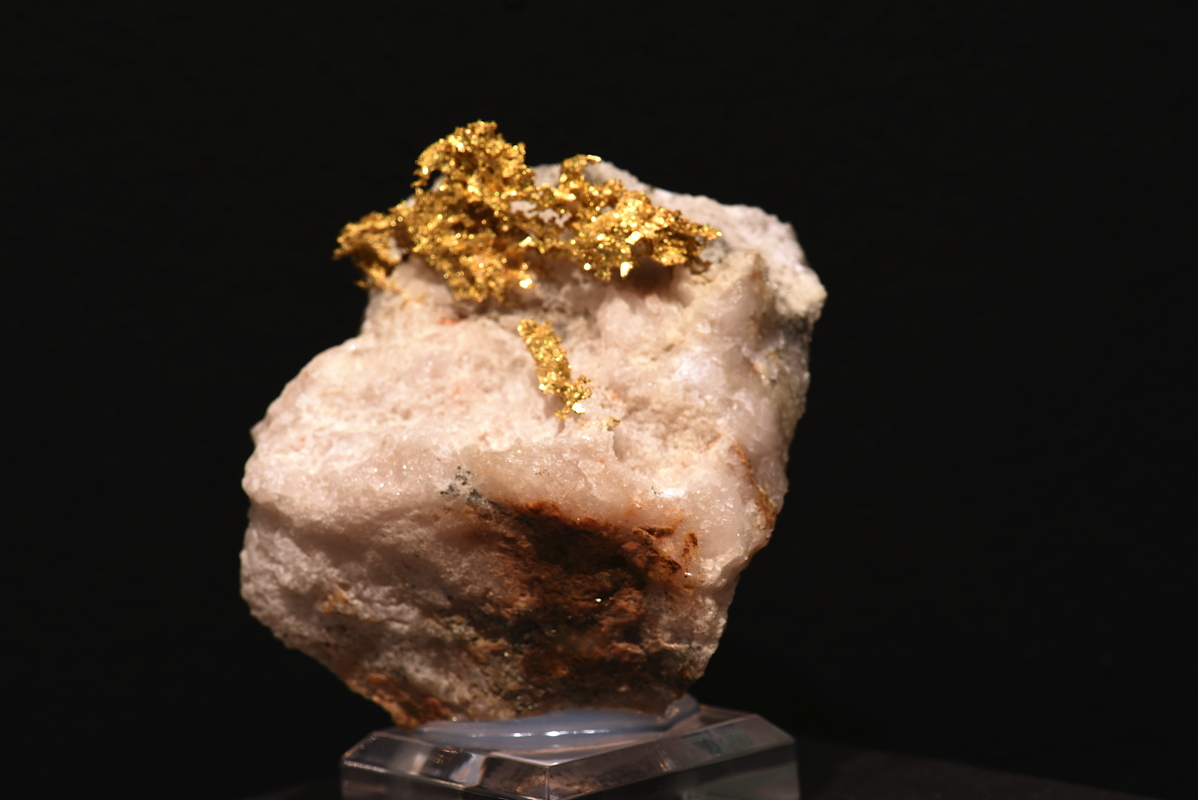 Gold auf Matrix| H: ca. 6 cm; F: Val Malenco, Italien; Sammlung: Valentin und Reini Sicher 