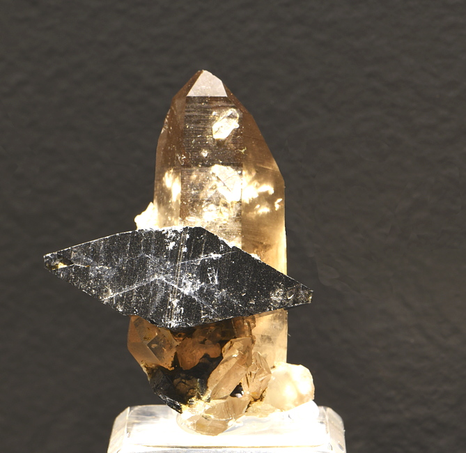 Grosser Anatas auf Quarz| H: ca. 5 cm; F: Hardangervidda, Norwegen; Sammlung: Gabriel Risse