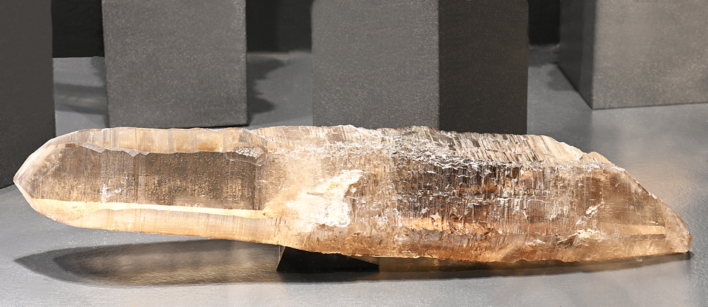 Langer Doppelender im Tessinerhabitus| B: 45 cm; F: Cavagnoli, TI; Sammlung: Ueli Wolf