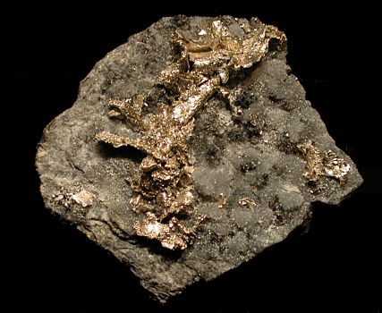 Goldblätter auf Quarz| B: 9 cm; Transylvanien, Rumänien. (Harvard Mineralogical Museum)