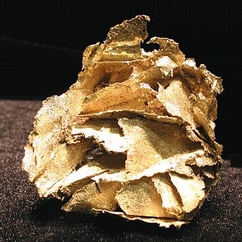 Gold- Rose| B: 6 cm; Breckenridge, Summit Co., CO, USA. (David Bunk Coll.)