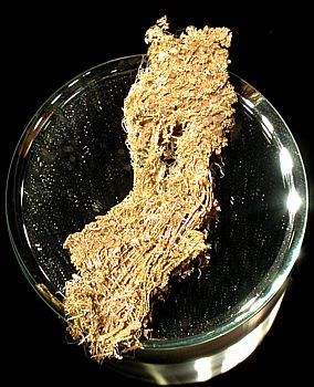 Gold-Drahtgeflecht| LK: 6 cm; Greaterville, Pima Co., AZ, USA. (Les Presmyk Coll.)