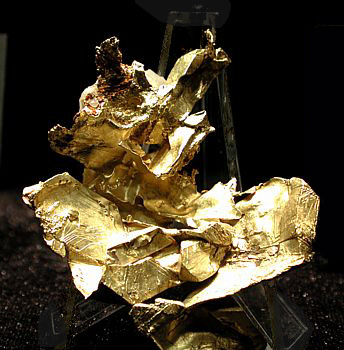 Gefaltete Goldblätter| B: 6 cm; Specimen Gulch, CA, USA. (Harvard Mineralogical Museum)