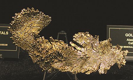 Goldstufe| B: 14 cm; Alaska Mine, CA, USA. (Harvard Mineralogical Museum)